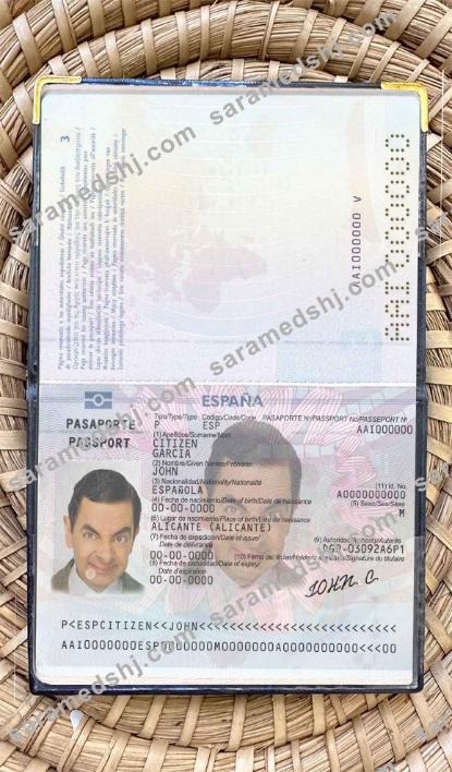 Spain till 2015 passport photo look